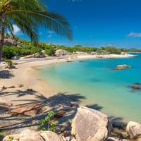 Long-Established Tree Services Business - Coastal Lifestyle! image