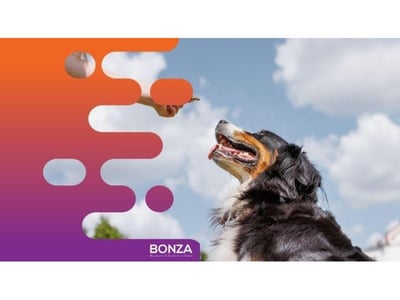 36479 Established Pet Food Manufacturing Business - Growing Market image