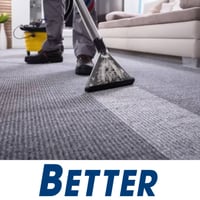 Carpet Cleaning & Pest Control $172,000 Profit image