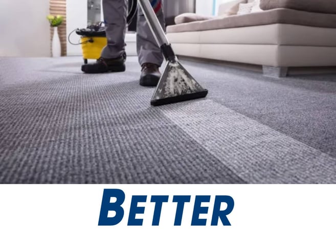 Carpet Cleaning & Pest Control $172,000 Profit