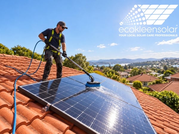 Solar Panel Cleaning Franchise for Sale