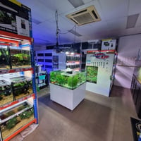 UNDER OFFER - Boutique Aquarium Shop plus ONLINE – Springfield Lakes, QLD image
