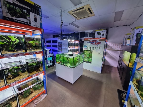 UNDER OFFER - Boutique Aquarium Shop plus ONLINE – Springfield Lakes, QLD