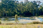 Established Freshwater Fish Hatchery & Supplier
