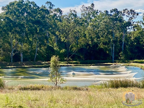 Established Freshwater Fish Hatchery & Supplier