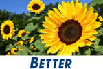 Garden Services - Recurring Income - Staff in Control