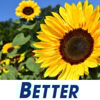 Garden Services - Recurring Income - Staff in Control image