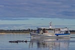 MV Lonsdale and Cruise / Tour Business for Sale