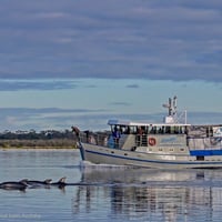 MV Lonsdale and Cruise / Tour Business for Sale image