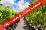 UNDER OFFER - WELL ESTABLISHED METRO NURSERY BUSINESS