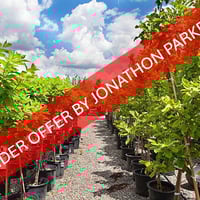 UNDER OFFER - WELL ESTABLISHED METRO NURSERY BUSINESS image