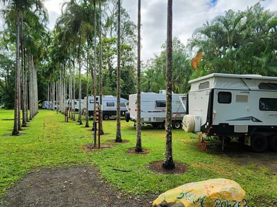 Bloomfield Cabins & Camping - Tropical Tourism Opportunity on the Coast image