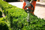 Landscaping Business -   Recurring Revenue + Strong Growth!