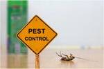 Established Pest Control Business - Sydney
