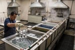 Specialist Anodising Business and Freehold