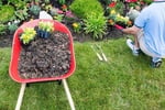 Servicing the nursery and landscaping industry sector