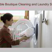 Profitable Boutique Cleaning and Laundry Service in the Heart of the Whitsundays image