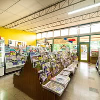 LEASEHOLD - Tallangatta Newsagency & Tattslotto - 1P0507 image