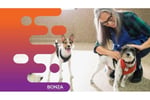 35501 Profitable Dog Minding Business - 30+ Years of Success