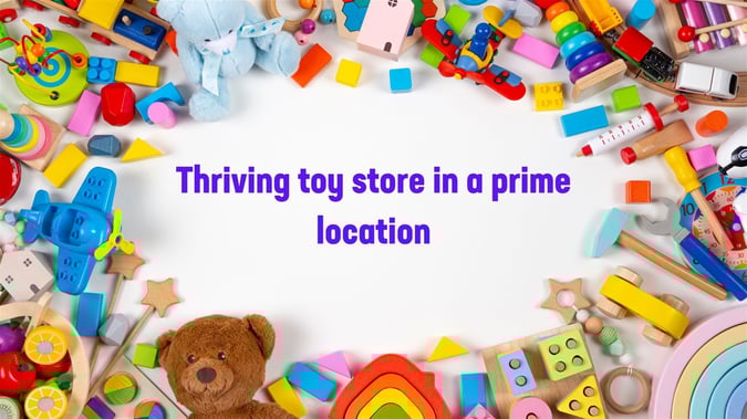Established toy store is ready for more success!