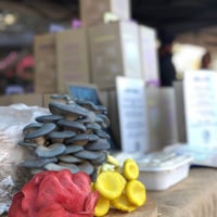 Indoor Mushroom Farm - Booming Industry image