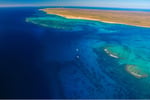 Ningaloo Diving Business - Wow!!!