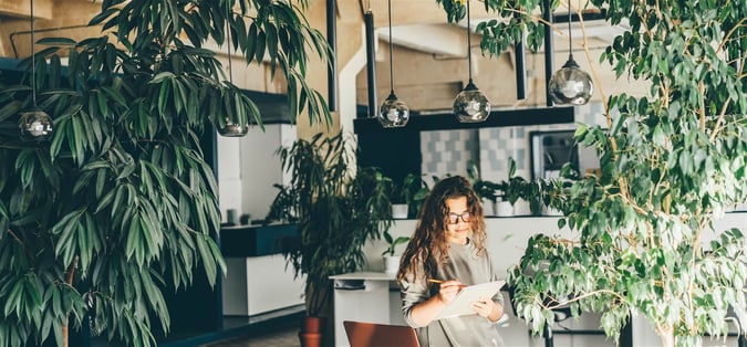 Coming Soon - High-Margin Plant Service Business