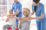 Large, SE QLD Renowned, Unique Physiotherapy Service #378
