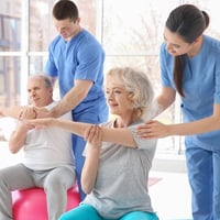Large, SE QLD Renowned, Unique Physiotherapy Service #378 image