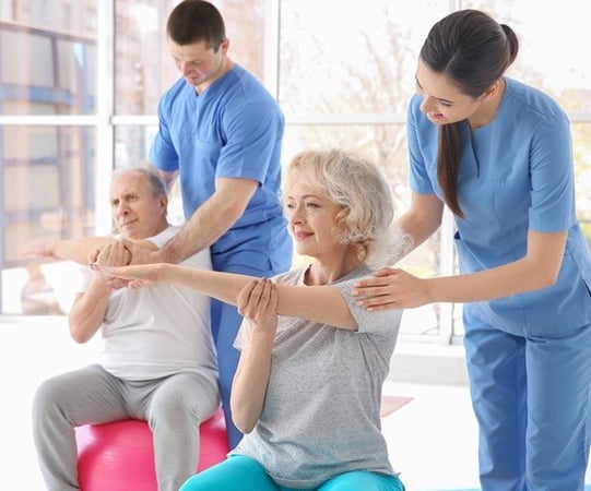 Large, SE QLD Renowned, Unique Physiotherapy Service #378