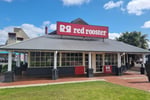 Premium Red Rooster In Gladstone Park