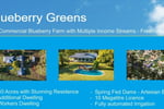 BLUEBERRY GREENS: BLUEBERRY FARM WITH MULTPLE INCOME STREAMS - FREEHOLD