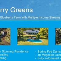 BLUEBERRY GREENS: BLUEBERRY FARM WITH MULTPLE INCOME STREAMS - FREEHOLD image