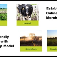 Strategic Investment: Established Online Rural Merchandise image