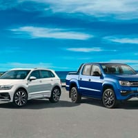 High Gross Profit and Ultra-Lucrative Vehicle Wrap and Sign Product Business #445 image