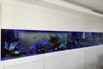 Established Aquarium Maintenance Business - Sydney, NSW