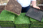 Innovative Horticultural Business $2.8M WIWO on SEQ Freehold Land