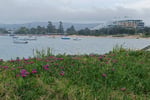 ESTABLISHED LICENCED CAFE & BAR - SHORT TRADING HOURS - PRIME ETTALONG BEACH LOCATION