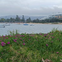 ESTABLISHED LICENCED CAFE & BAR - SHORT TRADING HOURS - PRIME ETTALONG BEACH LOCATION image