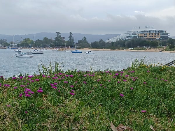ESTABLISHED LICENCED CAFE & BAR - SHORT TRADING HOURS - PRIME ETTALONG BEACH LOCATION