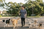 UID: 241 Inner-City Dog Daycare & Grooming Business,  Loyal Client Base, Major Growth Potential