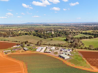 Wholesale Production Business-Agriculture-$1m+ Owners Profit image