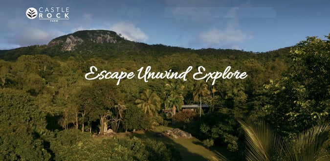 ULTIMATE LIFESTYLE ACCOMMODATION BUSINESS - SELLING FREEHOLD - TOURIST LOCATION
