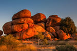 Premier Central Australia Tour Business in Australia\'s Red Heart