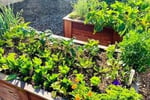 Leading Organic Gardening Business in Perth/Neerabup, WA