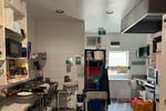 Takeaway Authentic Greek Street Food Brand - Black Rock, VIC