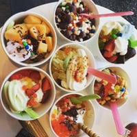 Frozen Yogurt Franchise - Established Business - Urgent Sale image