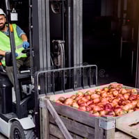 Profitable Fresh Produce Wholesale Business image