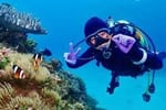 Professional Scuba Retailer