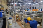 UNDER OFFER - Wholesale Manufacturer and Knitting Mill - Somerton Park, SA